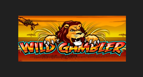 Wild Gambler Online Slot Introduction