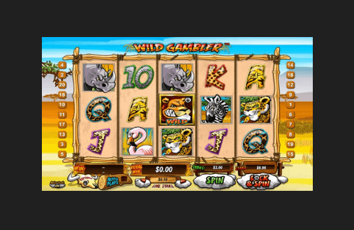 Wild Gambler Online Pokies